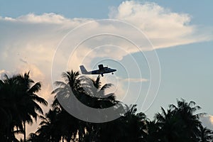 Plane at takeoff over palm trees