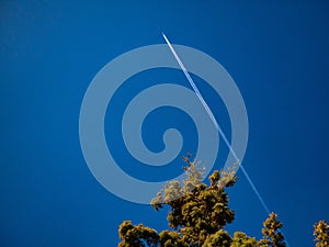 Plane with trails flying hign in sky with pine tree in foreground