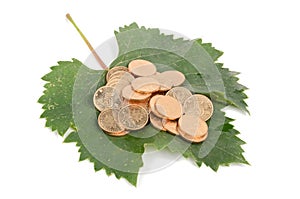 Plane tree leaf and coins