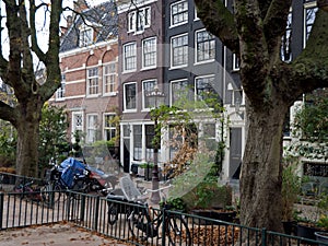 Plane-trees in the playground and old house-fronts in Amsterdam city