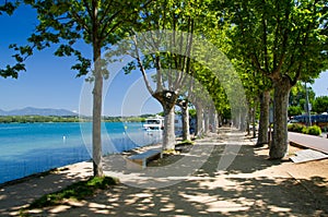 Plane trees on the waterfront of Lake o Banyoles,Spain