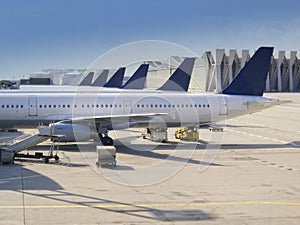 Planes at the airport photo