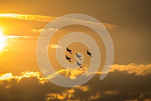 Planes flying at sunset