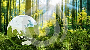 Planet Earth crystal ball on a green forest 3D rendering