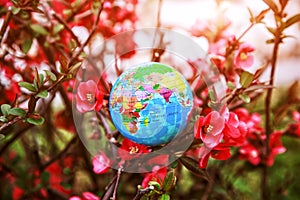 Planet earth globe model in flowers