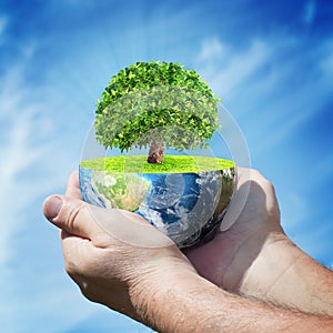Planet Earth with tree in human hands against blue sky