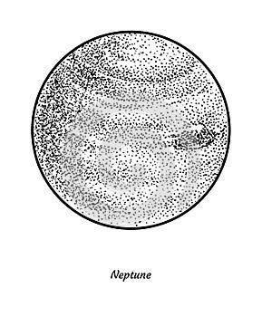 Planet neptune illustration, drawing, engraving, ink, line art, vector