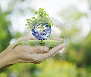 Planet and tree in human hands on green bokeh background, Save t