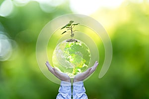 Planet and tree in human hands over green nature, Save the earth concept,