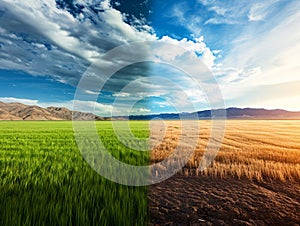 Planet turning to drought fields, concept illustrating climate change affects agriculture and earth