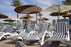 Plank beds and umbrellas on beach