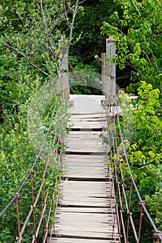 Plank bridge