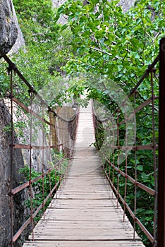 Plank bridge