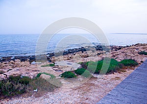 Plank footpath extending over calm water photo