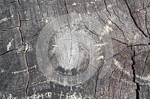 Plank of Grungy very year Old Wood.