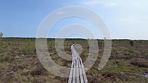 plank path along the swamp day time plain field walking