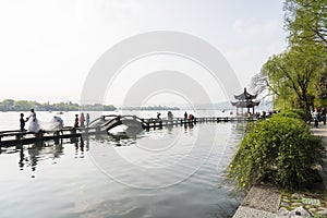 plank path on water