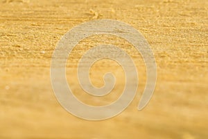 Plank with small focus area