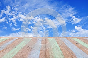 Plank wood with blurred blue sky background.