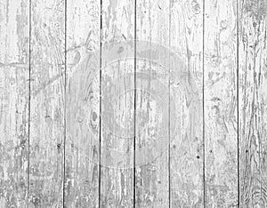 Plank wooden texture