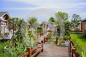 Planked and balustraded path in wooden cabins at sunny summer no