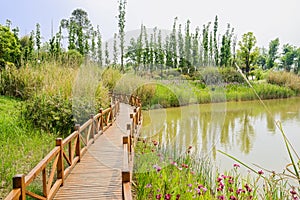 Planked footbridge along grassy and flowering lakeshore