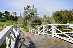 Planked footbridge with balustrades over lake in sunny autumn af