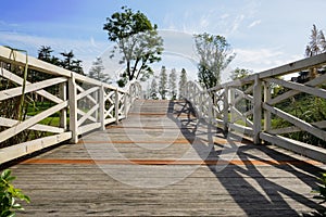 Planked footbridge in sunny autumn afternoon