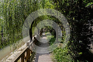 Planked footpath along irrigation channel