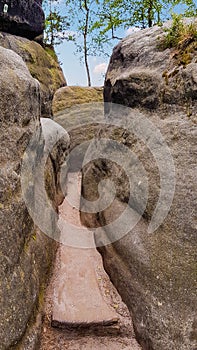 Planked hiking trail through miniature canyon, Saxony, Germany