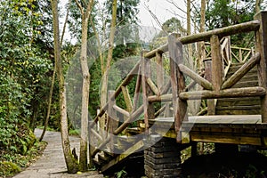 Planked stairway by stone pavement in woods