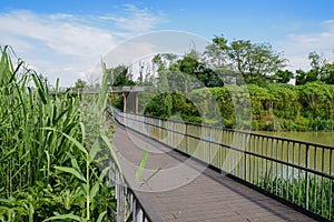 Planked steel footbridge with railings over water in sunny summer afternoon