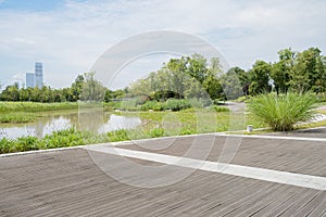 Planked waterside in park on cloudy summer day