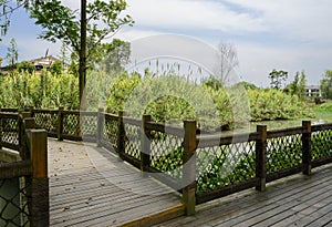 Planked wooden footbridge near reedy lake-shore in sunny summer