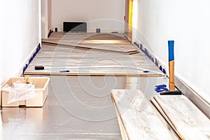 Planks of laminate floor and tools to install them