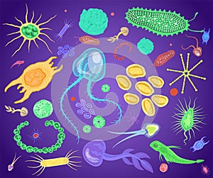 Plankton, marine and freshwater microscopic organism set, flat vector isolated illustration.