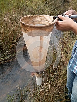 Plankton net sampling phytoplankton