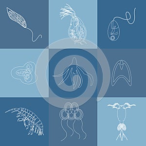 Plankton outline icon