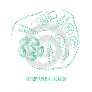 Plankton phytoplankton outline
