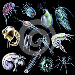 Plankton Set On Black Background