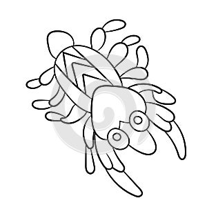 Plankton shrimp in coloring page for childrean and adult in vector