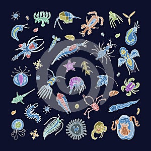 Plankton vector aquatic phytoplankton and planktonic microorganism under microscope illustration set of micro cell