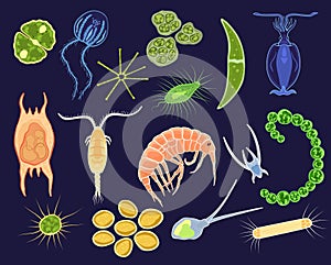 Plankton vector aquatic phytoplankton and planktonic microorganism under microscope in ocean illustration set of micro