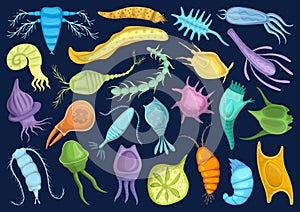 Plankton vector cartoon set icon. Isolated cartoon set icon phytoplankton.Vector illustration plankton on white photo