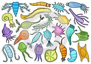 Plankton vector color set icon. Isolated color set icon phytoplankton.Vector illustration plankton on white background