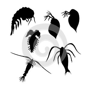 Plankton vector silhouettes