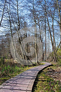 Plankway through forest around briese river near berlin