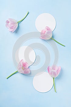 Planning or invitation concept with fresh pink tulip flowers on blue pastel background. Top view. Flat lay.