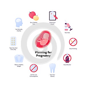 Planning for pregnancy concept. Vector flat color icon illustration set. Step to baby infographic. Fetus in womb symbol. Design