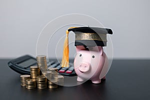 Planning student loan for studying abroad for college or university degree. Saving money coin with banking investment, finance